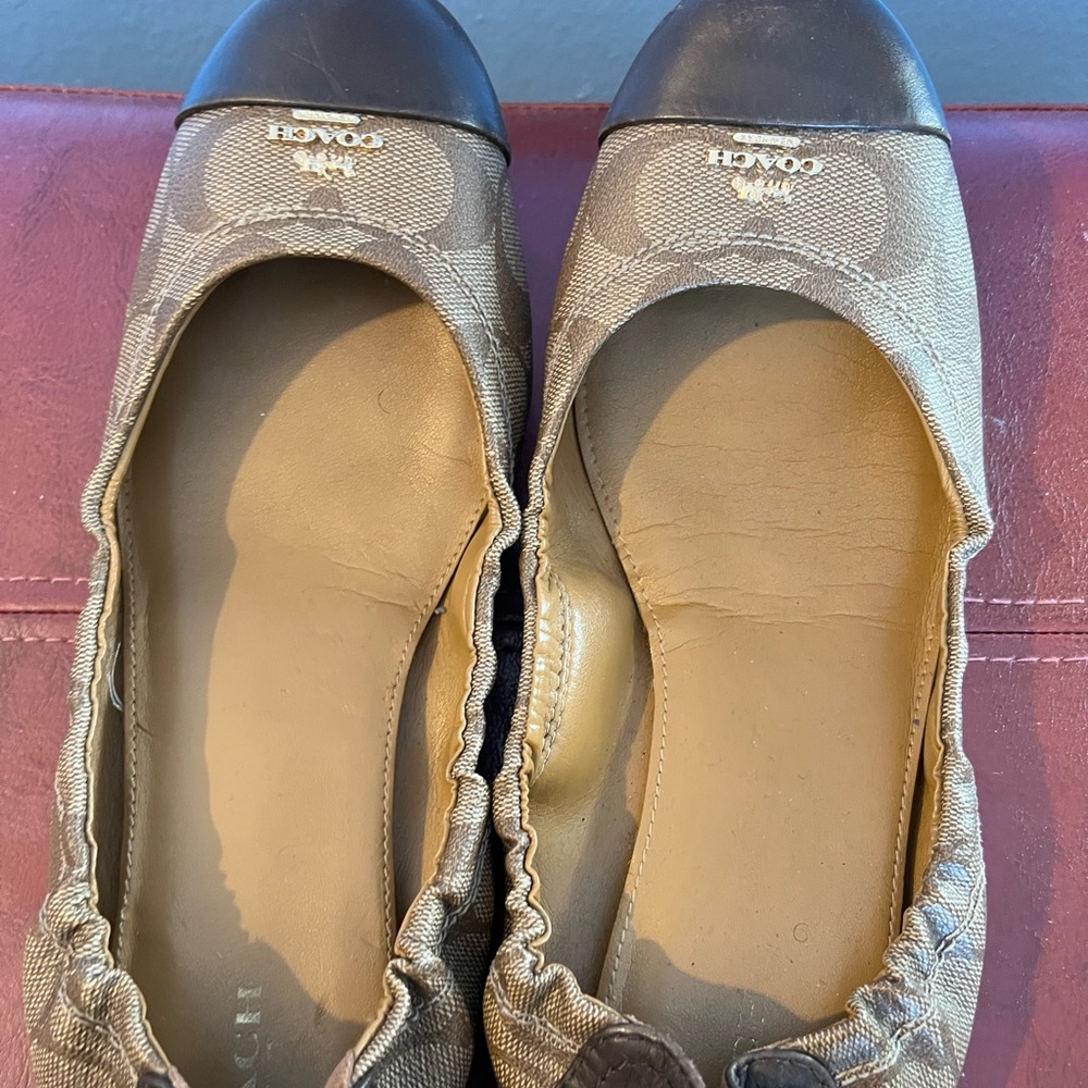 Women coach shoes